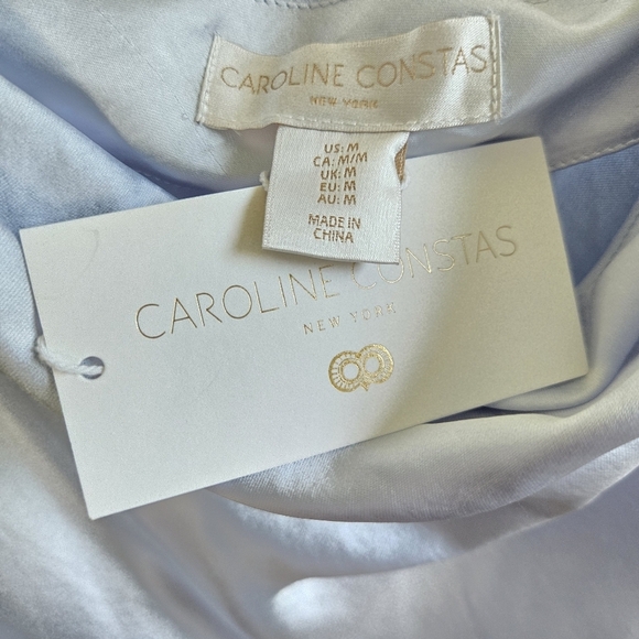 New Caroline Constas 3-D Flower Applique Trim Straps Satin Maxi Dress Pale Blue - Picture 9 of 12